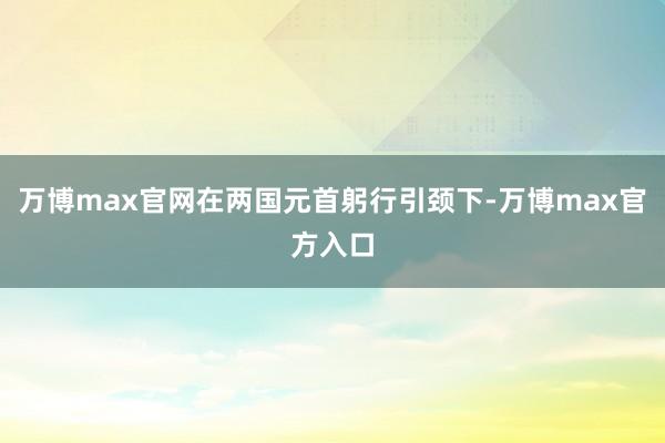 万博max官网在两国元首躬行引颈下-万博max官方入口