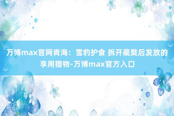 万博max官网青海：雪豹护食 拆开藏獒后发放的享用猎物-万博max官方入口