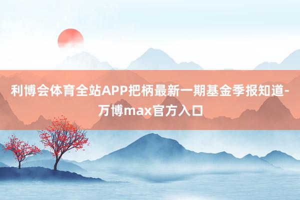 利博会体育全站APP把柄最新一期基金季报知道-万博max官方入口