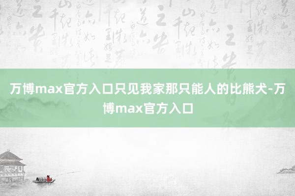 万博max官方入口只见我家那只能人的比熊犬-万博max官方入口