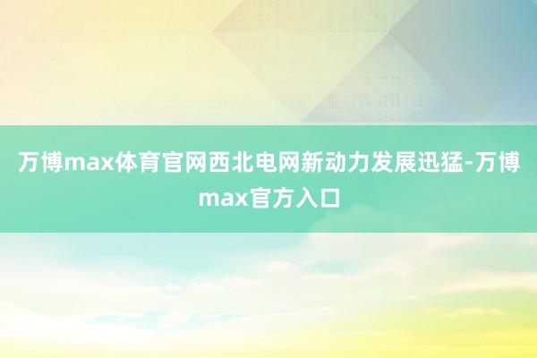 万博max体育官网西北电网新动力发展迅猛-万博max官方入口